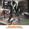 Evolution R230DCT 230mm 9" Electric Disc Cutter Concrete Saw with Diamond Blade - Evolution Power Tools UK