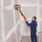 R225DWS - Telescopic Dry Wall Sander